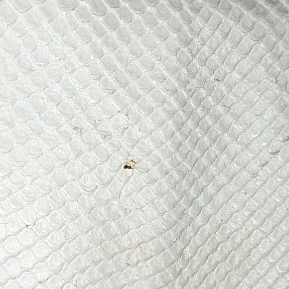 Coach Clutch - White Python - Picture 13 of 14